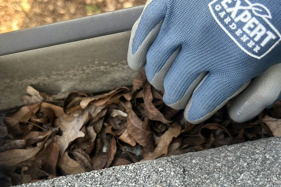 Short Hills Gutter Cleaning
