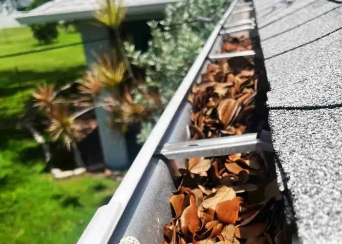 Short Hills gutter cleaning home page